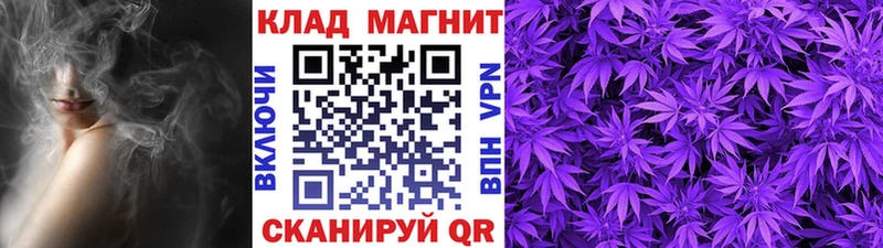 Магазины продажи наркотиков Куртамыш Псилоцибиновые грибы Cocaine Меф Канабис