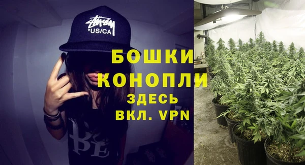 метамфетамин Белокуриха